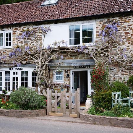 The Bark House Bed and Breakfast Oakford Esterno foto