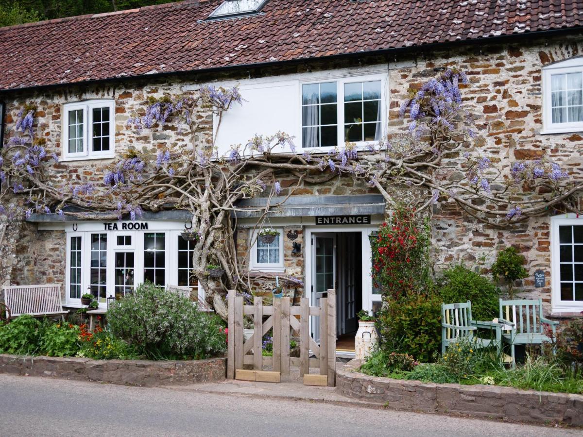 The Bark House Bed and Breakfast Oakford Esterno foto